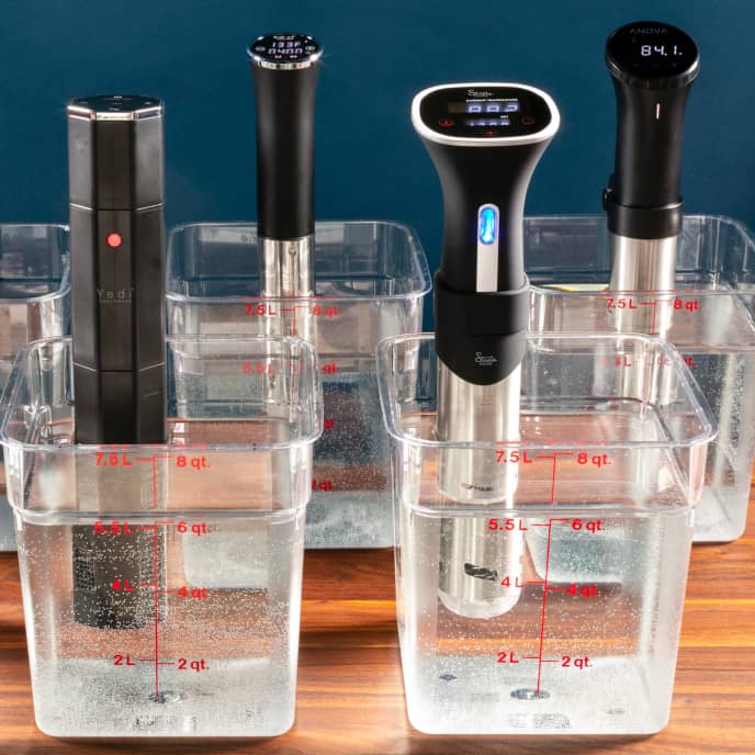 The Best Sous Vide Machine America's Test Kitchen